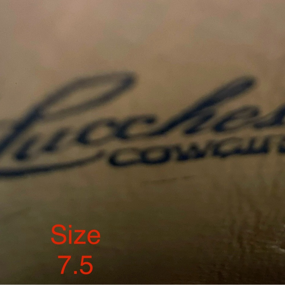 Lucchese Purple suede boots